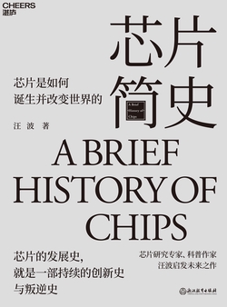 芯片简史（2024第十九届文津图书奖作品）