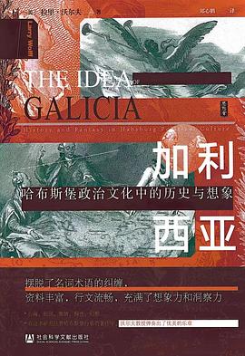 加利西亚：哈布斯堡政治文化中的历史与想象（1772-1918）